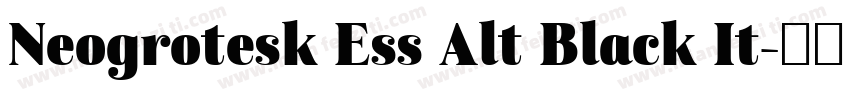 Neogrotesk Ess Alt Black It字体转换